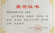 喜报： 我校王梓婷同学由于思想好，品德好，志向正，爱劳动，勇创造，被授予2019年“苏州好少年”。